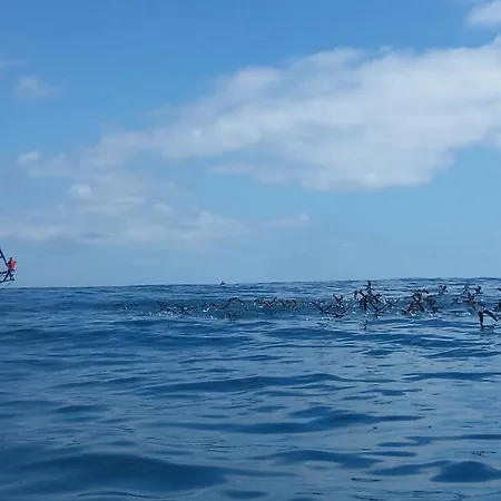 Appartement Ocean View Madeira *