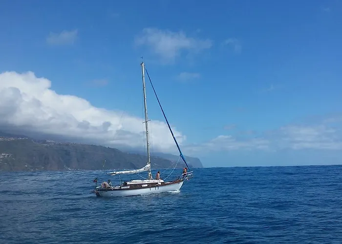 Daire Ocean View Madeira Madalena do Mar