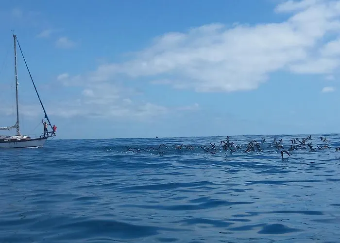 Daire Ocean View Madeira *